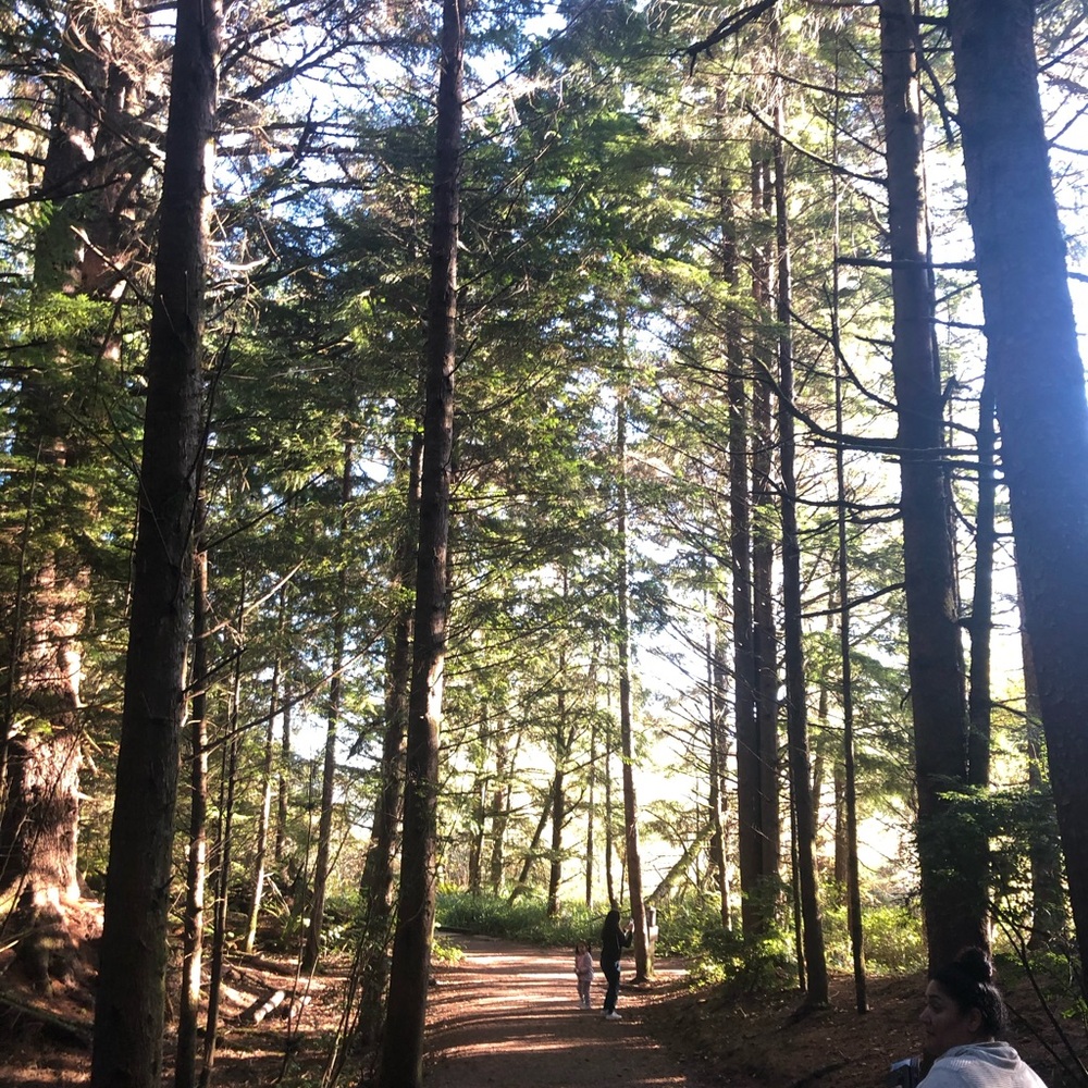 Meet your Posher, Annette